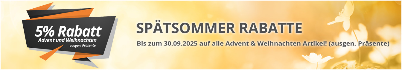 Werbe Adventskalender