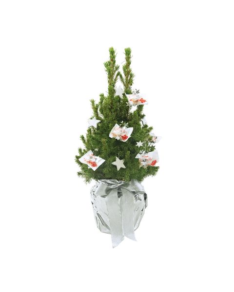 Lebendes Weihnachtsbäumchen mit Ferrero Raffaello und mit Werbekärtchen