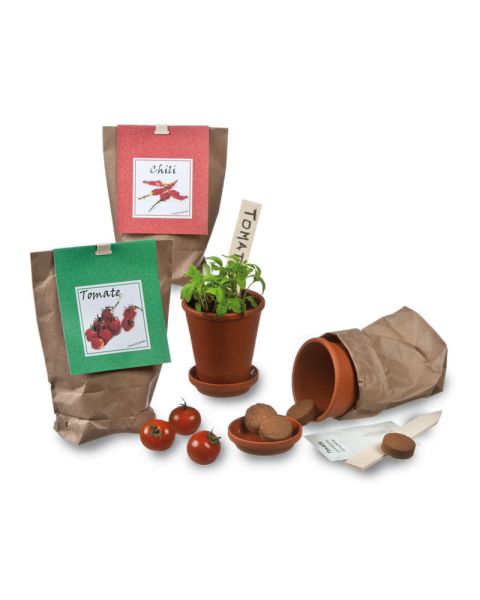 Gemüseanbau-Set mit Werbereiter und Logodruck