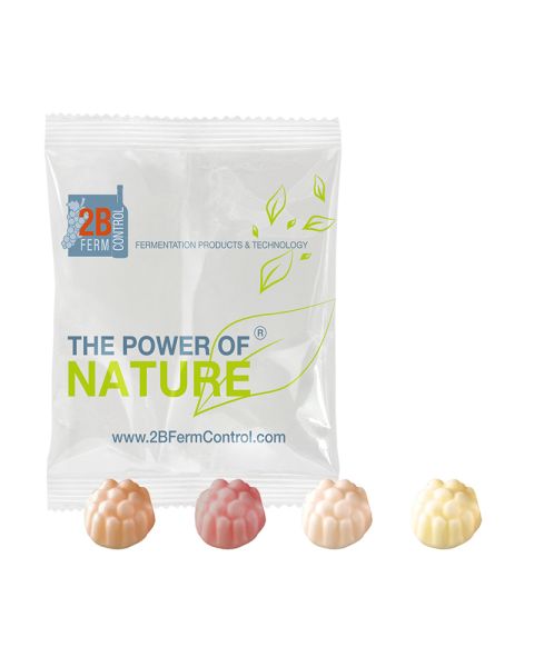 9 g BIO JO-Frutti in promotional bags with logo print