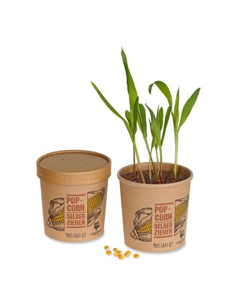 Popcorn-Saatset mit Banderole und Werbedruck