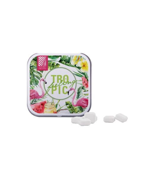 20 g sugar-free peppermint squares in square tin with promotional print