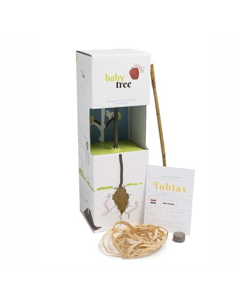 Baby fruit tree apple in DIY packaging with advertising