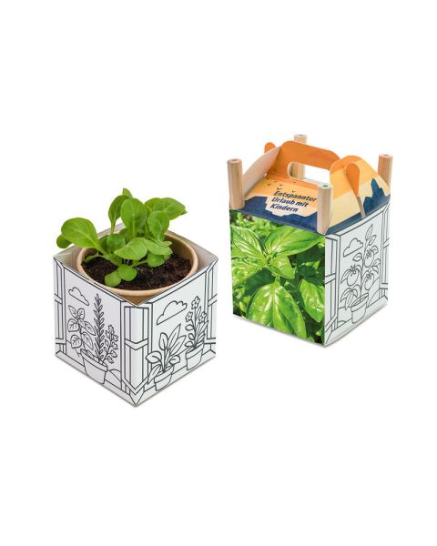 Basilikum Colour & Grow House - Weihnachten mit Werbeanbringung