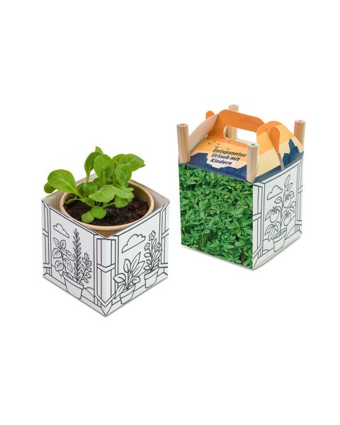 Gartenkresse Colour & Grow House - Weihnachten mit Werbeanbringung