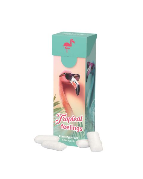 35 g sugar-free KoRo menthol chewing gum in a slim box with promotional print