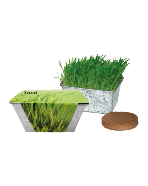 Wachstumskästchen mit Katzengras und mit Werbeanbringung