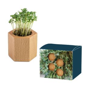 Thymian Pflanz-Holz Hexagon mit Werbeanbringung