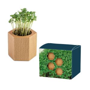 Gartenkresse Pflanz-Holz Hexagon - Ostern mit Werbeanbringung