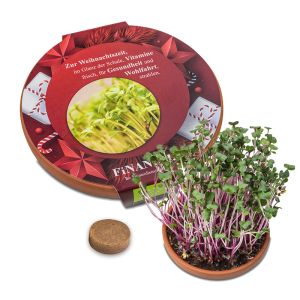 Vitamin-Schale mit Rettich China Rose Samen und großer bedruckbarer Werbebanderole
