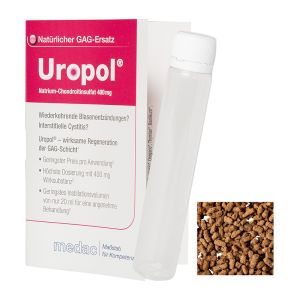 Express 10 g Instant Eistee Zitrone in Faltkarte mit Werbedruck