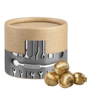 45 g Goldnüsse Bonbons in biologisch abbaubarer Pappdose mit Werbeetikett