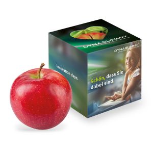 Bio Apfel in der Werbe-Box mit Herzstanzung und mit Werbebedruckung