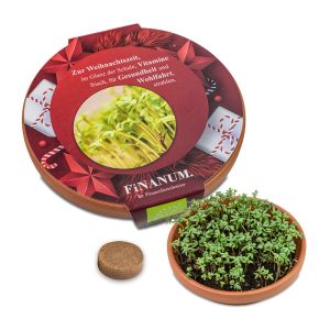 Vitamin-Schale mit Kressesamen und großer bedruckbarer Werbebanderole