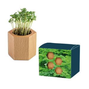 Petersilie Pflanz-Holz Hexagon - Ostern mit Werbeanbringung