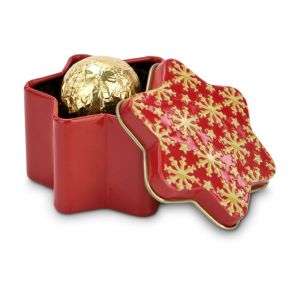 Präsent Weihnachtsstern