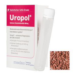 Express 10 g Instant Eistee Wildfrucht in Faltkarte mit Werbedruck