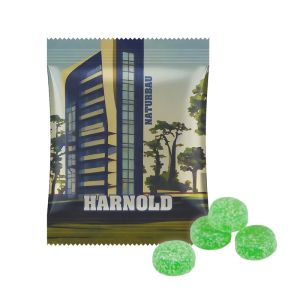 15 g vegane Eukalyptus Menthol Fruchtgummi im Tütchen mit Werbedruck