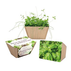 Basilikum-Samen im Mini-Beet mit Werbeanbringung