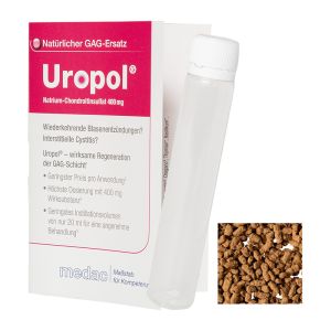 Express 10 g Instant Eistee Apfel in Faltkarte mit Werbedruck