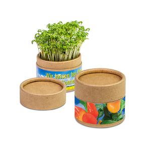 Gewürzpaprika Pflanz-Cup mit Werbeanbringung