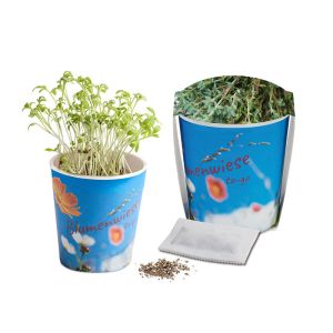 Thymian Blumenwiese To-Go - Ostern mit Werbeanbringung