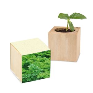 Petersilie Pflanz-Holz Graspapier-Banderole mit Werbeanbringung