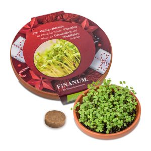 Vitamin-Schale mit Salatraukesamen und großer bedruckbarer Werbebanderole