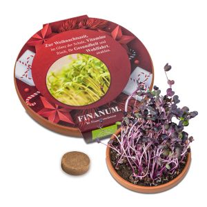 Vitamin-Schale mit Radies Sango Samen und großer bedruckbarer Werbebanderole