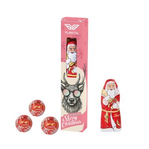Lindt Weihnachtsmix in Sichtfensterkartonage mit Werbedruck
