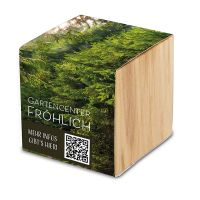 Basilikum-Samen im Holzwürfel mit Werbedruck Bild 3