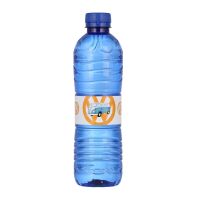 500ml Blaue Wasserflasche mit Logodruck Bild 1