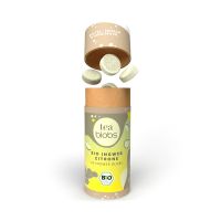 Bio Ingwer Zitrone TeaBlobs in Eco Pappdose mit Werbeanbringung Bild 4