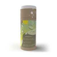 Bio Ingwer Zitrone TeaBlobs in Eco Pappdose mit Werbeanbringung Bild 2