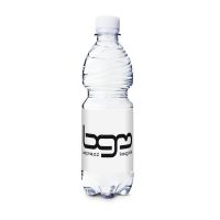 500 ml Promo Wasser Spritzig mit Logodruck Bild 2