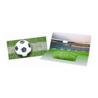 Mini Fußball-Arena Karte mit Zimmerrasen und Werbedruck Bild 1