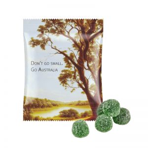 15 g Eukalyptus Menthol Fruchtgummi im Tütchen mit Werbedruck
