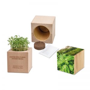 Basilikum-Samen im Holzwürfel mit Werbedruck