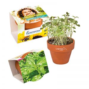 Basilikum-Samen im Terracotta-Töpfchen mit XL Werbeanbringung