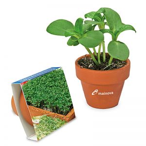 Gartenkresse-Samen im Terracotta-Topf mit Werbeanbringung