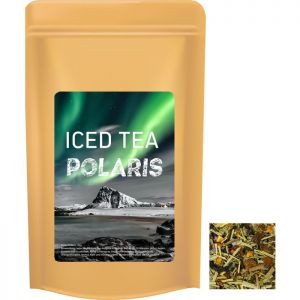 35 g Tee Eistee Polaris im Midi Doypack mit Werbeetikett