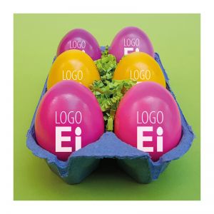LogoEi 6er Pack in Eierverpackung mit Werbe-Etikett